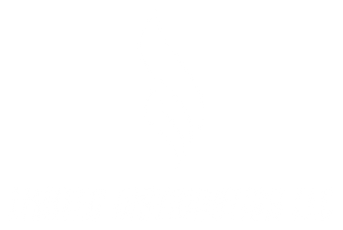 Limited Distribution LLC logo